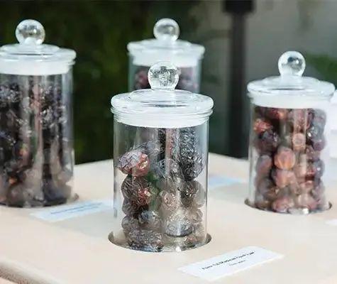 盖茨展望2024:更多AI多国选举将成健康与气候的转折点(图11) 盖茨展望2024:更多AI多国选举将成健康与气候的转折点(图11)