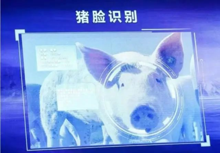 探寻AI时代智慧农业新未来!2024年生物光学与智慧农业国际论坛在广州召开-广东省农村厅(图3) 探寻AI时代智慧农业新未来!2024年生物光学与智慧农业国际论坛在广州召开-广东省农村厅(图3)