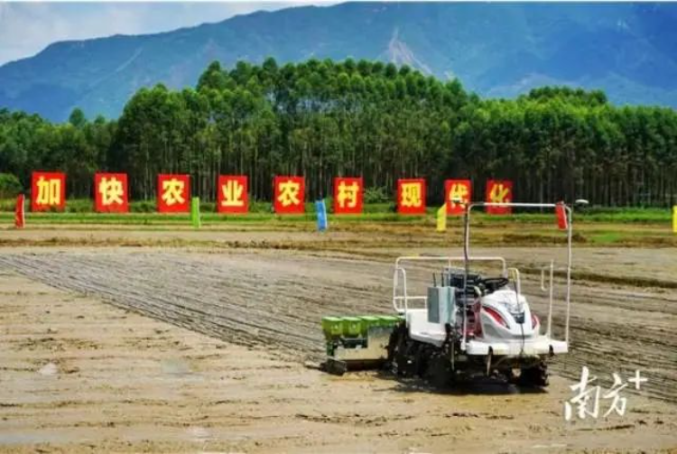 探寻AI时代智慧农业新未来!2024年生物光学与智慧农业国际论坛在广州召开-广东省农村厅(图5) 探寻AI时代智慧农业新未来!2024年生物光学与智慧农业国际论坛在广州召开-广东省农村厅(图5)